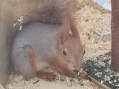 -怪兽屋·羊驼·猫咖·狗咖(俊华广场店)