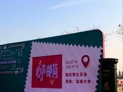 -荷兰花海