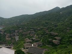 -枸杞岛