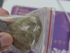 -房山世界地质公园博物馆