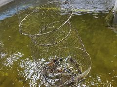 -光头佬钓虾场·烧烤·聚餐·亲子(金沙洲店)