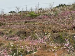 -府君山公园