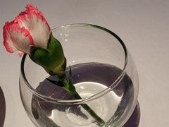 -眉州东坡(清华园店)