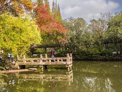 -上海醉白池公园