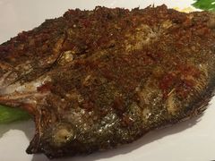 -小杨烤肉(高新店)