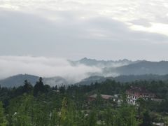 -中国大熊猫保护研究中心雅安碧峰峡基地