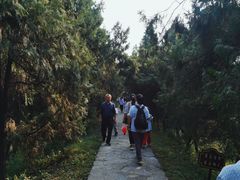 -花洲书院