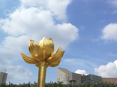 -金莲花广场