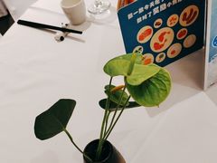 -眉州东坡(通州店)