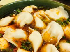 茴香饺子-三姐妹饺子(东木头市店)