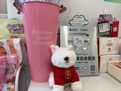 -瑞派·关忠动物医院·猫专科·犬专科(三环新城店)