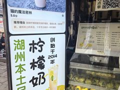 -猫的魔法密林(衣裳街店)