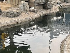 -东方时尚驾校(总部)