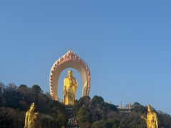 -庐山风景名胜区-东林大佛