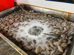 -皮蛋弟砂锅店(总店)