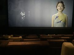 -新影联·华谊兄弟影院(望京店)
