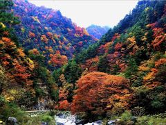 -广元唐家河嘉怡客栈