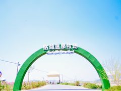 -大连铭湖国际观光牧场