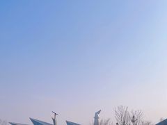 -盐城丹顶鹤湿地生态旅游区