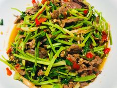 香菜炒牛肉-壹盏灯(蚂蚁工房店)