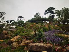 -罗红摄影艺术馆