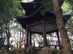 -杭州黄龙洞