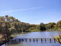 -东方绿舟景区