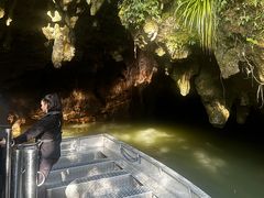 -怀托摩萤火虫洞