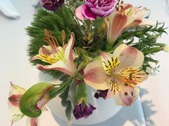 -蝶舍·MAISON PAPILLON