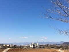-北京张裕爱斐堡酒庄