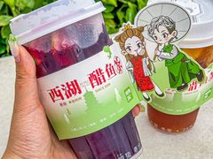 -炖物24章·顺时轻养茶(黄龙店)