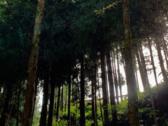 -龙窝子