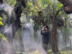 -Chom Cafe and Restaurant