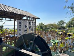 -莲花岛景区