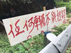 -三门江国家森林公园