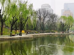 -团结湖公园