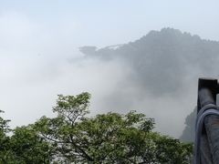 -少华山国家森林公园