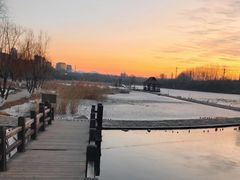-前关湿地公园