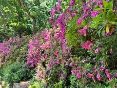 -南山风景名胜区