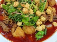 -马旭土鸡焖花卷新疆菜大盘鸡·真域顺西域美食(天马大道店)