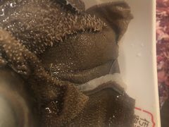 手撕牛佰叶-潮发潮汕牛肉店(龙洞店)