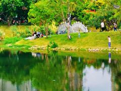 -四海公园(南山区)