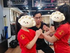 -温鉴良实用咏春拳