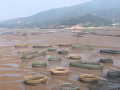-北岐滩涂