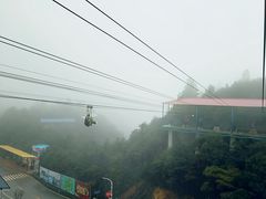 -梦幻奥陶纪景区