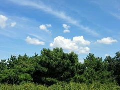android_upload_pic-高尔山公园