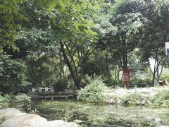 -成都市活水公园