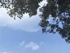 -东莞植物园