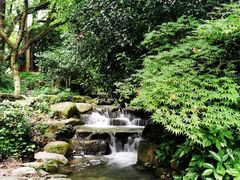 -中国茶叶博物馆(双峰馆区)