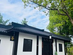 -宜兴龙背山森林公园